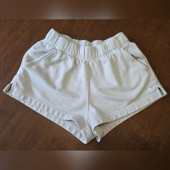 The North Face Gray Shorts - Picture 1 of 9